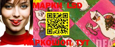 mdpv Кимры