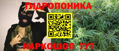 mdpv Кимры