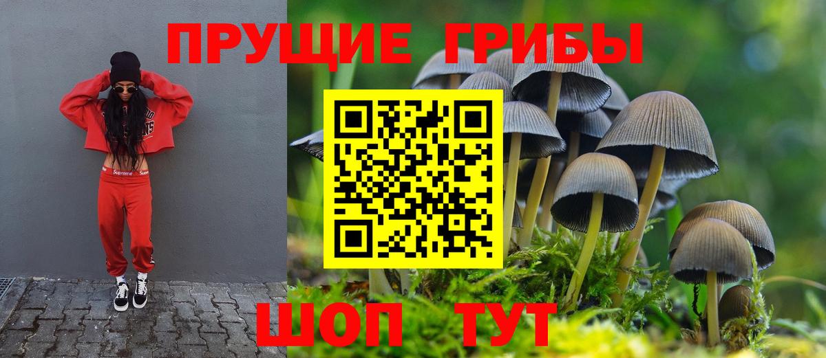 Псилоцибиновые грибы Psilocybe  Вход с VPN  Псилоцибиновые грибы MAGIC MUSHROOMS  Валуйки 
